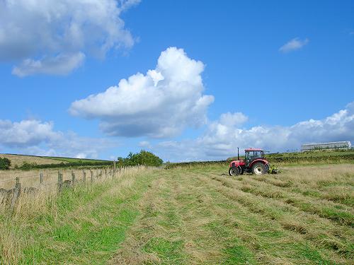 Haymaking - Big Field