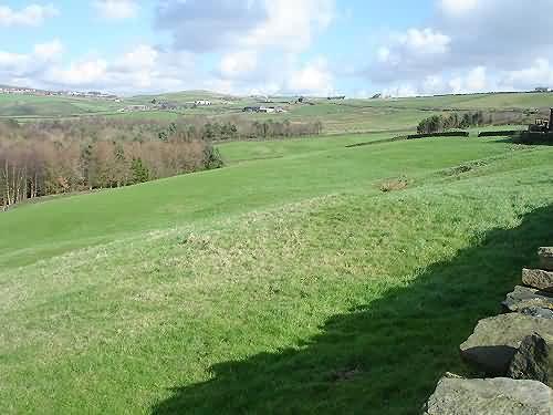 Bottom Field from Back o'th' Low Road